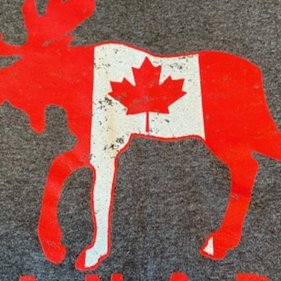 Alstyle T-shirt Lake of The Woods Size 2XL NWOT - Picture 9 of 12